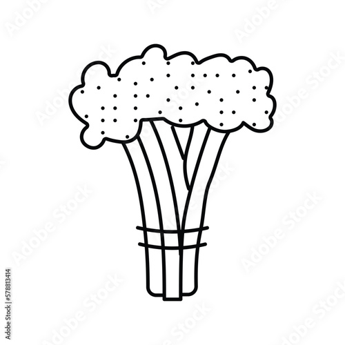 broccoli rabe line icon vector illustration