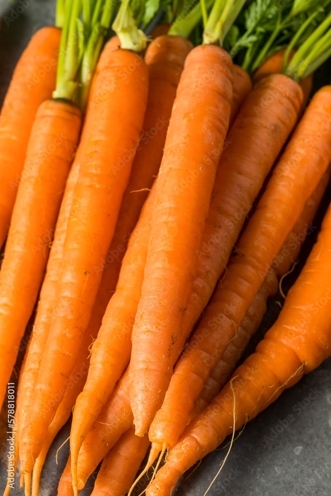 Organic Raw Orange Carrots Organic Raw Orange Carrots