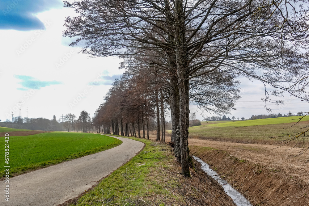 Baumschnitt entlang eines kleinen Baches Baumschnitt entlang eines kleinen Baches