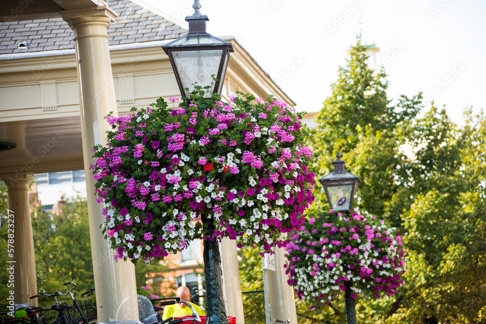 pink and white flowers on lantern with pavilion in background