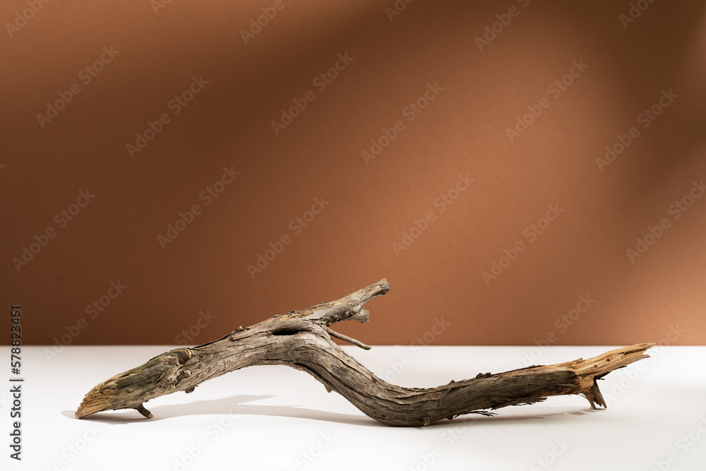 Natural wooden branch with lights and soft shadows on brown background