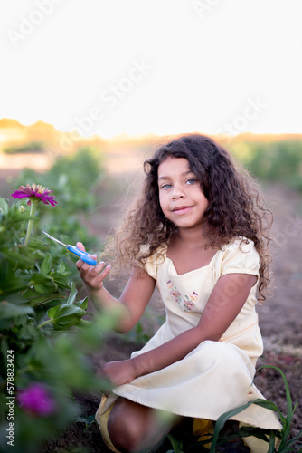 Little Girl Cutting Zinnia Flowers
