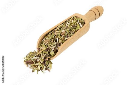 Catnip herb in latin - Nepeta cataria in wooden scoop isolated on white background. Medicinal herb.
