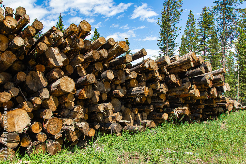 Logging Operations