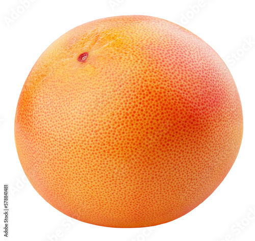 Single grapefruit citrus fruit isolated on transparent background