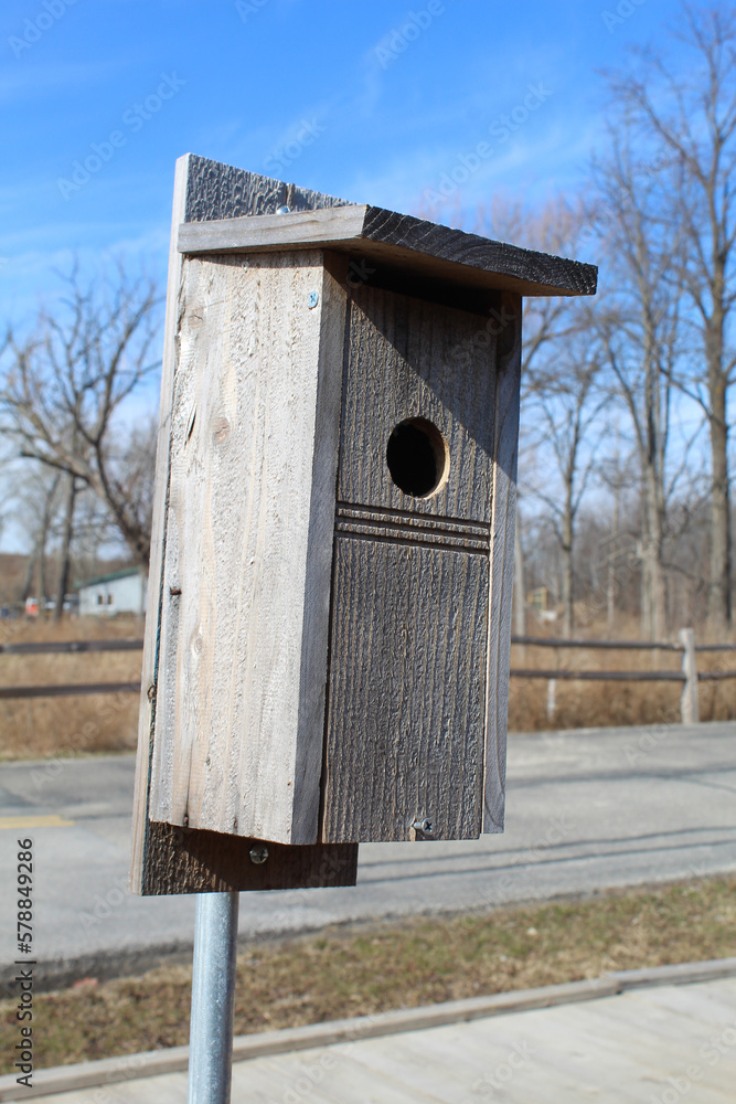 Naklejka premium Bluebird birdhouse on metal post on a sunny day