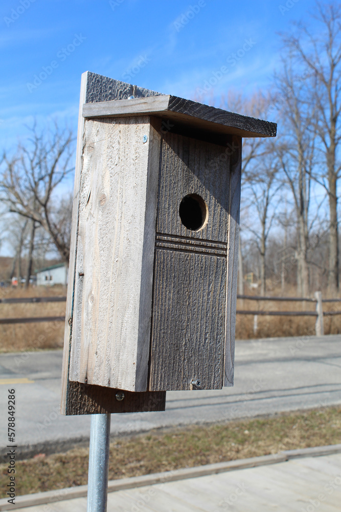 Bluebird birdhouse on metal post on a sunny day