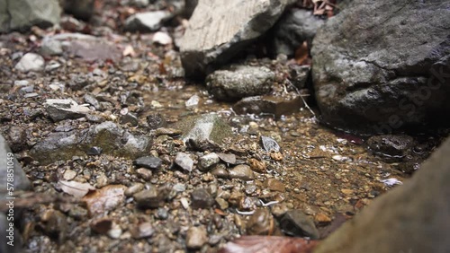 Wallpaper Mural 岩の間を流れる渓流の透き通った水 Torontodigital.ca