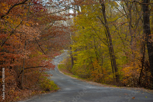 Country Road in the Fall © Alfred
