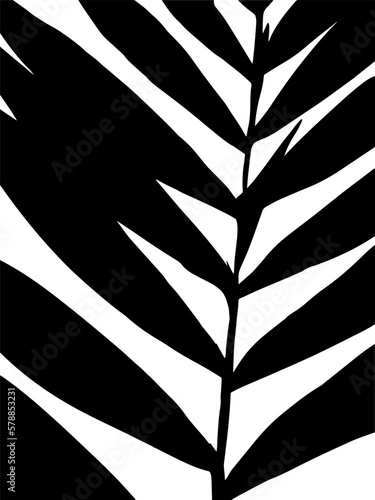 palm branch. black doodle illustration