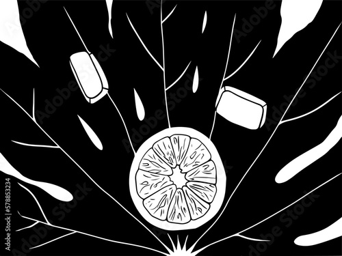 lemon slice on a tropical leaf. palm leaf with ice. doodle illustration