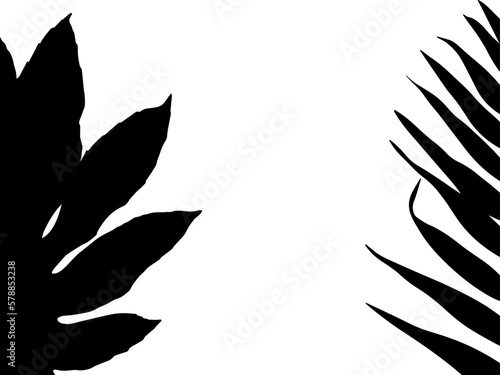 black and white frame. frame with palm leaves. tropical border