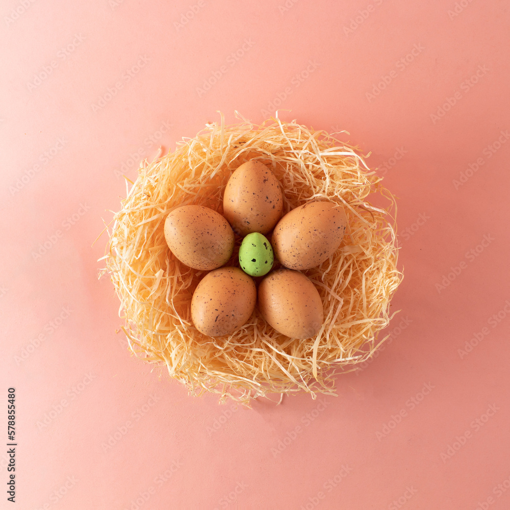 Easter layout made with Easter eggs and nest. Minimal nature background. Spring holidays concept. Creative copy space. Flat lay. Easter layout made with Easter eggs and nest. Minimal nature background. Spring holidays concept. Creative copy space. Flat lay.