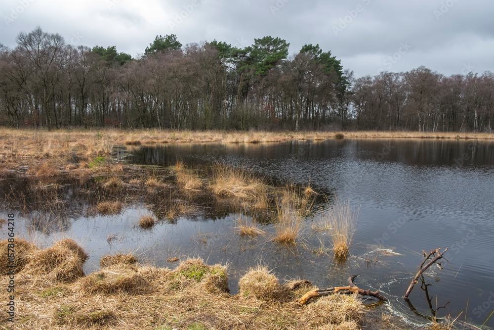 Heideweiher Naturschutz-und FFH-Gebiet Fürstenkuhle, Gescher