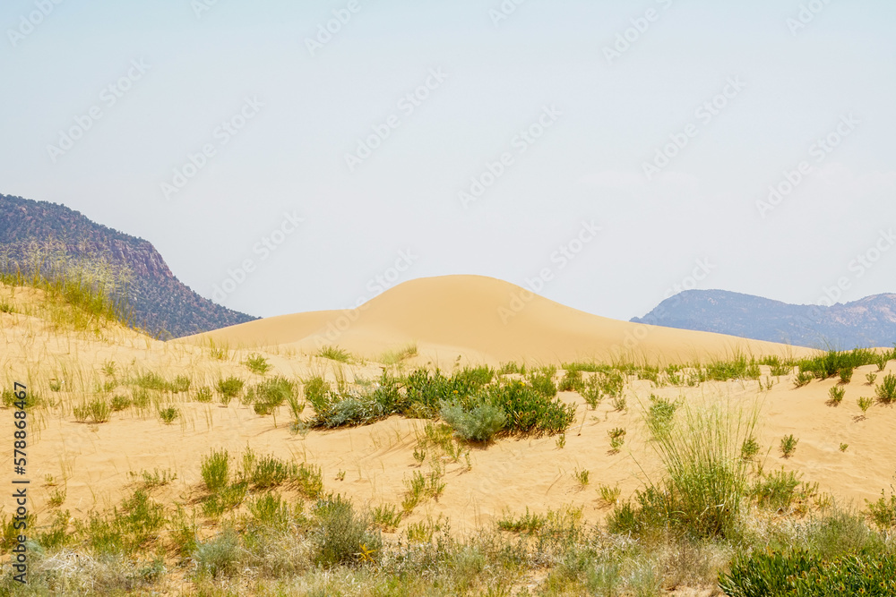 Coral Pink Sand Dunes State Park in Kanab, Utah