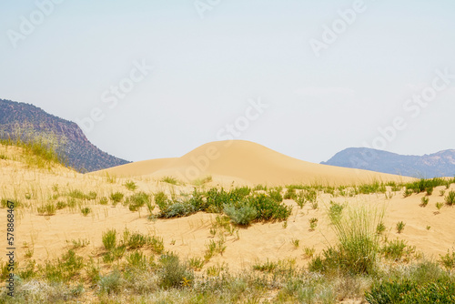 Coral Pink Sand Dunes State Park in Kanab, Utah