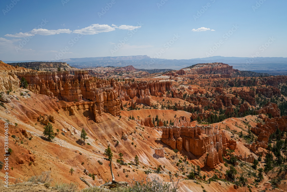 View inside of Bryce Canyon National Park in Utah