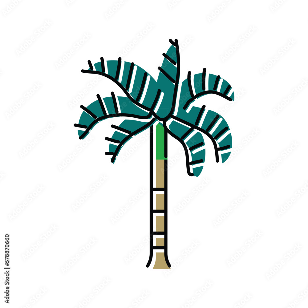 foxtail palm tree color icon vector illustration