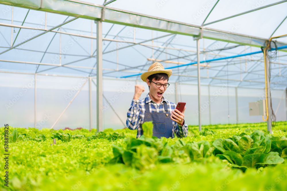 Young Asian smart farmer working with smart agriculture organic hydroponic vegetable greenhouse, Butterhead Lettuce, Green Oak, Red Oak for vegan salad. Young Asian smart farmer working with smart agriculture organic hydroponic vegetable greenhouse, Butterhead Lettuce, Green Oak, Red Oak for vegan salad.