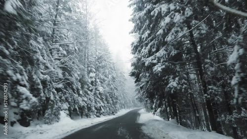 Driving on the winter forest road of Poland with trees around
