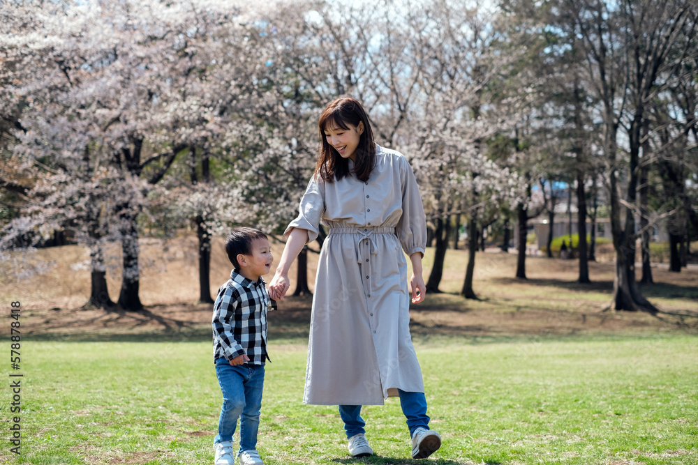 Fototapeta premium 桜の咲く公園を子供と一緒に散歩する母親