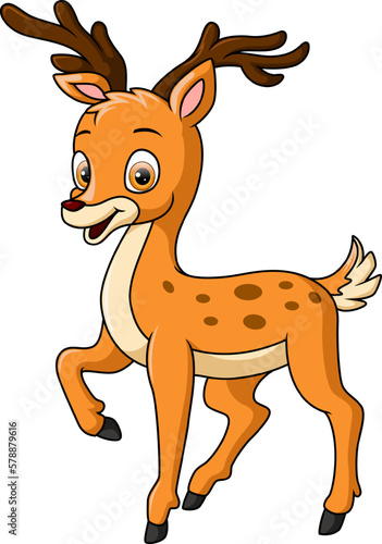 Cute deer cartoon on white background