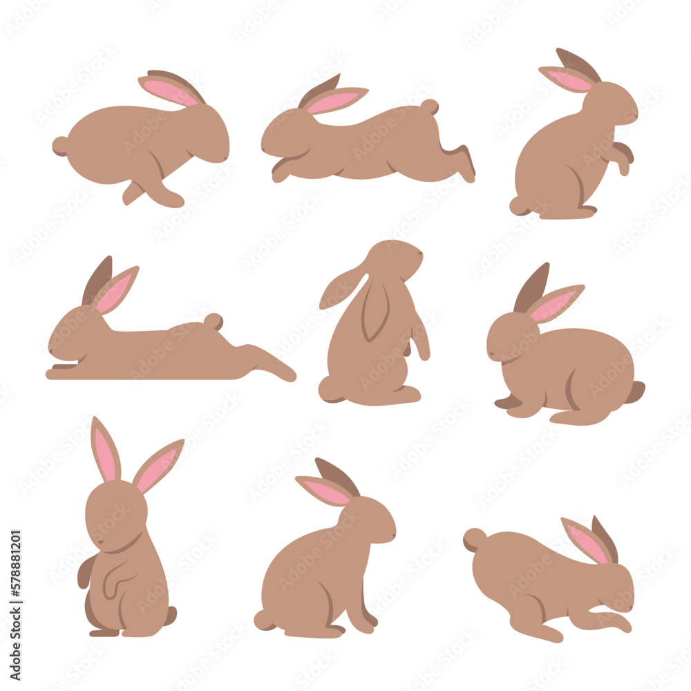 Rabbit vector cartoon set icon. Isolated cartoon set icon animal.Vector illustration rabbit on white background