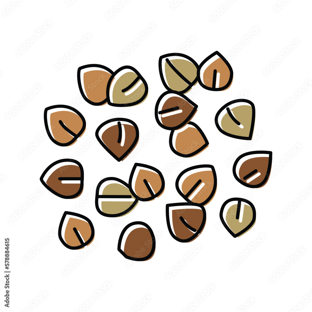 buckwheat grain healthy color icon vector illustration