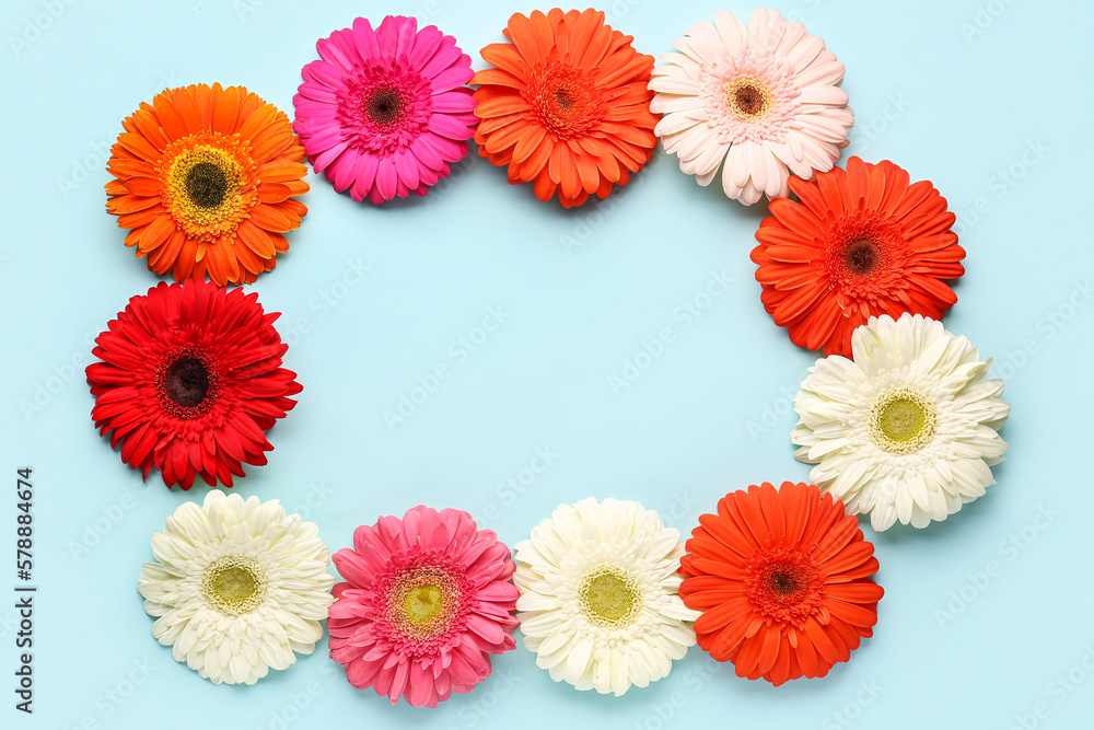 Frame made of beautiful gerbera flowers on blue background Frame made of beautiful gerbera flowers on blue background