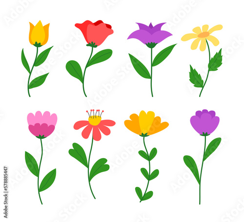 Set of Various Flower with Stems and leaves, spring flower flat style illustration