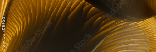 abstract closeup of a mushroom (ID: 578890609)