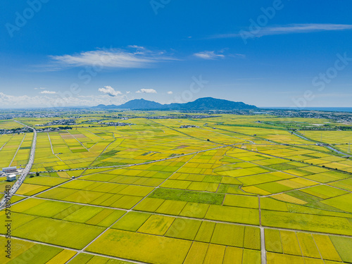 新潟県　越後平野　田園　秋