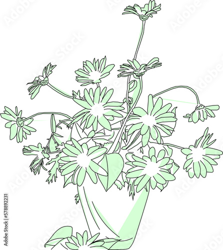sketch vector illustration of ornamental plants in the house