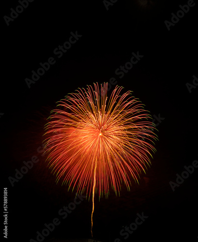colorful fireworks closeups image. Japanese beautiful color design fireworks. Black backgrounds  