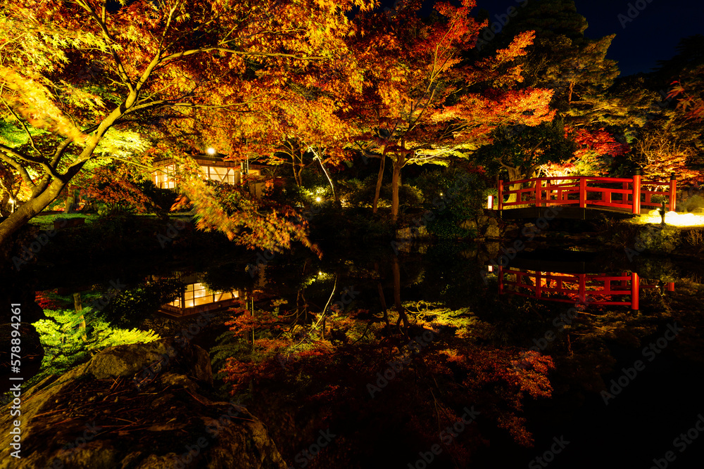 新潟県 弥彦公園 紅葉谷 紅葉 新潟県 弥彦公園 紅葉谷 紅葉