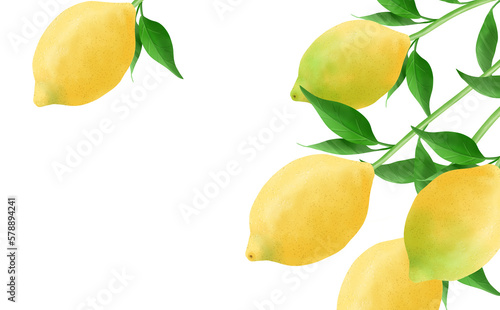 Frame of lemons with leaves white back, illustration material, with different colors © MK