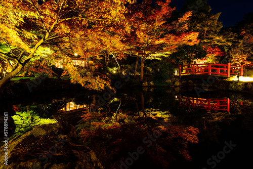 新潟県　弥彦公園　紅葉谷　紅葉 © Masakazu Wakui