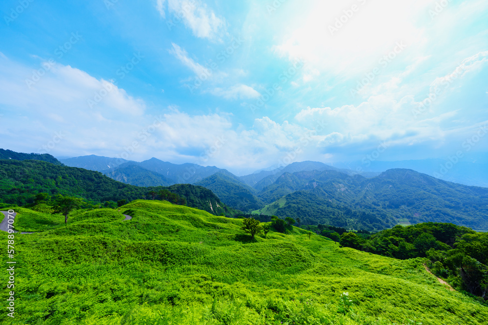 Obraz premium 山形県小国町 樽口峠