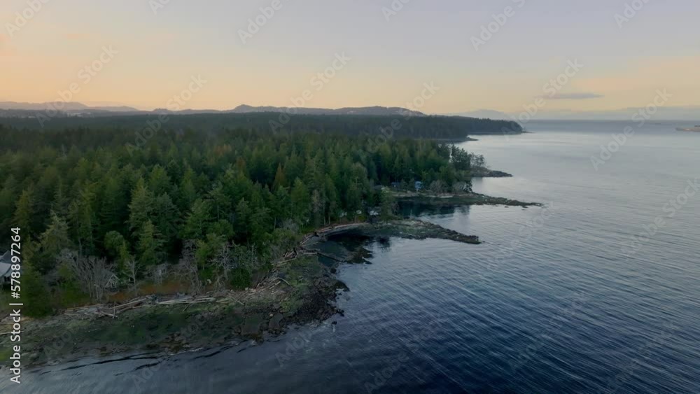 Pine Woods By The Shore Of Protection Island In Nanaimo, Canada. Aerial Drone Shot Pine Woods By The Shore Of Protection Island In Nanaimo, Canada. Aerial Drone Shot