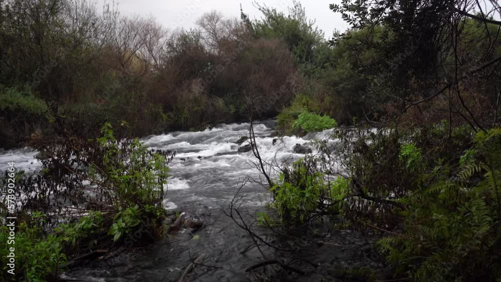 jordan river Tel Dan Israel Biblical Site jordan river Tel Dan Israel Biblical Site