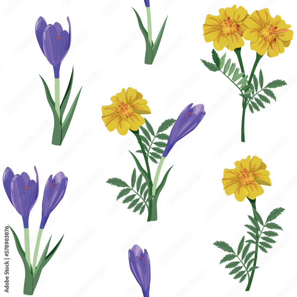 Seamless vector illustration with yellow marigolds and purple crocus on a white background.