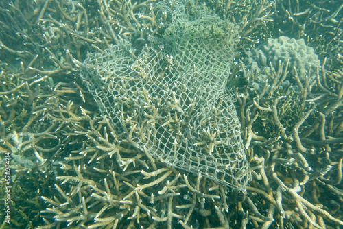Fishing net cover on the coral reefs