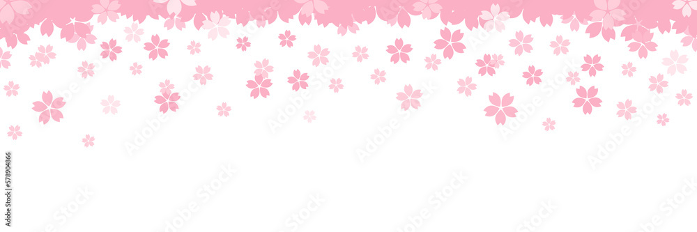 Cherry blossom arch with falling petals on a transparent background. Spring is cherry blossom season.