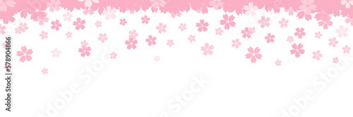 Cherry blossom arch with falling petals on a transparent background. Spring is cherry blossom season.