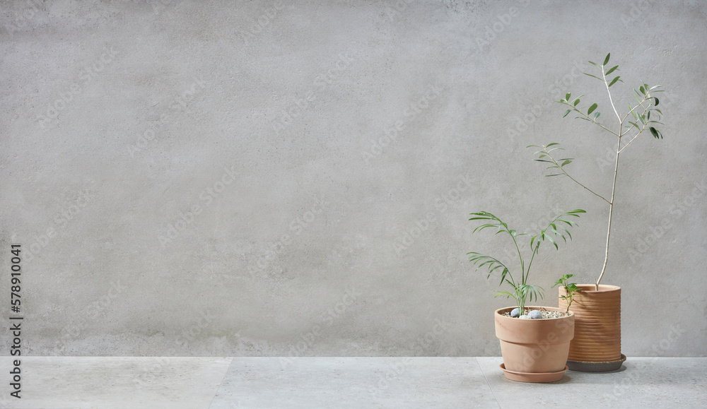 retro style, Basket, olive tree, earthen pot, stool and various objects on vintage gray concrete background retro style, Basket, olive tree, earthen pot, stool and various objects on vintage gray concrete background