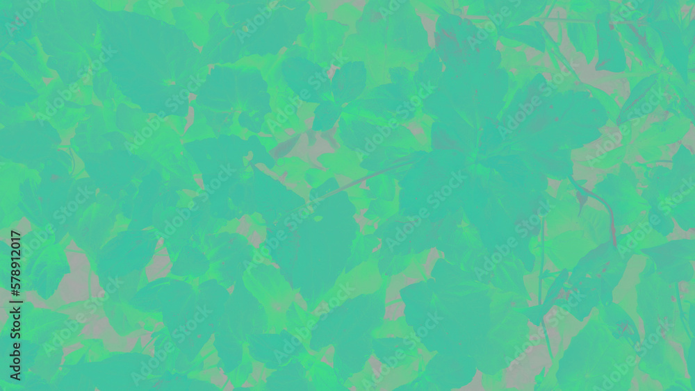 texture of paint color background