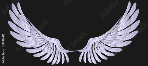 wings on an empty background
