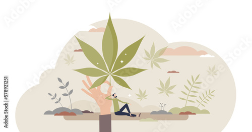 Using hemp as herbal treatment for mental or physical health tiny person concept, transparent background. Medical marijuana as alternative medicine for human wellbeing and psychological balance.