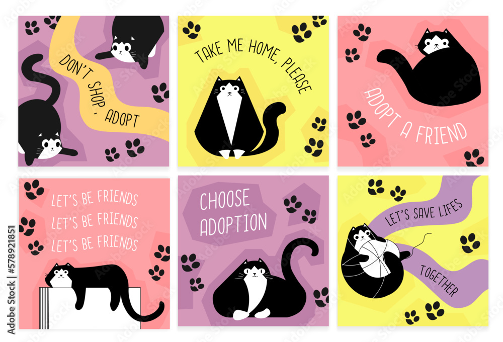 Social media design set with cat adoption concept