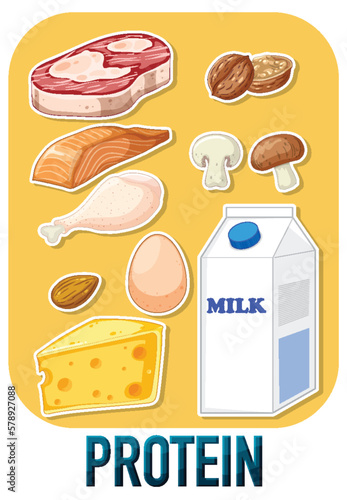 Variety of protein foods with text